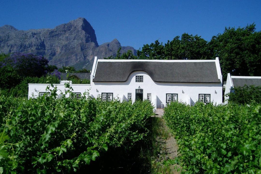 Photo of Others in Cape Winelands