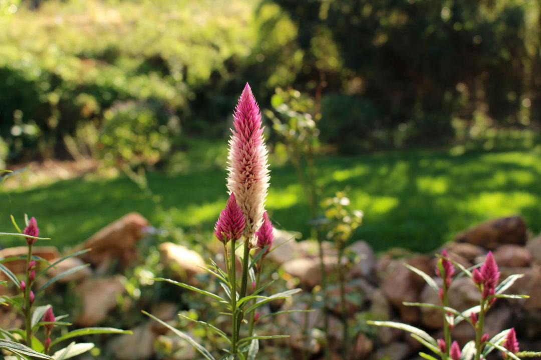 Photo of Outdoor in Patensie