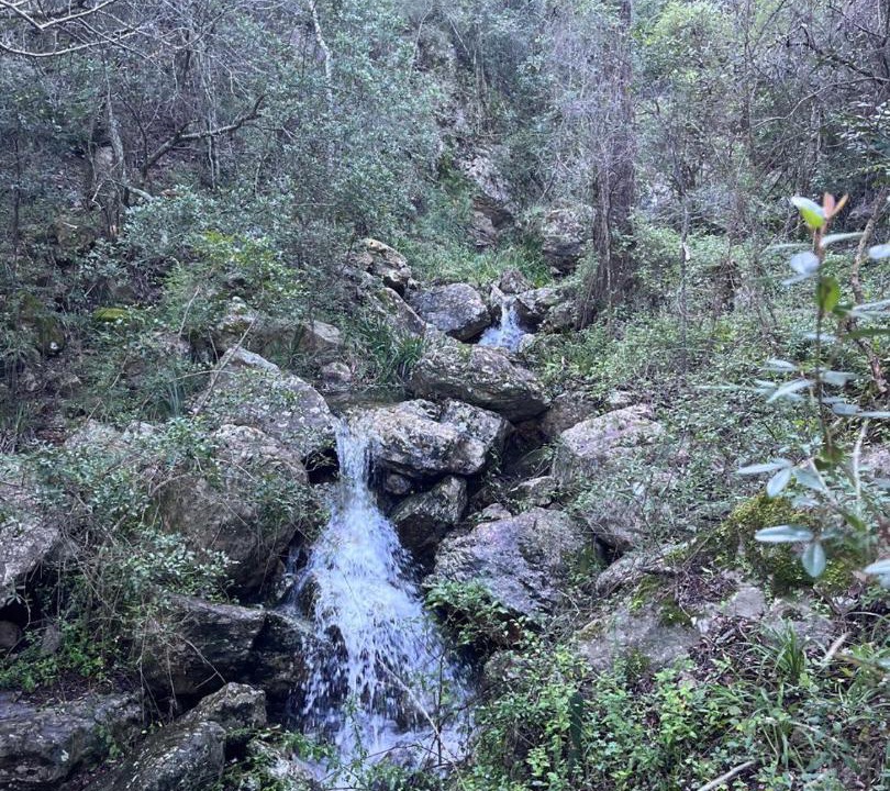 Photo of Others in Patensie