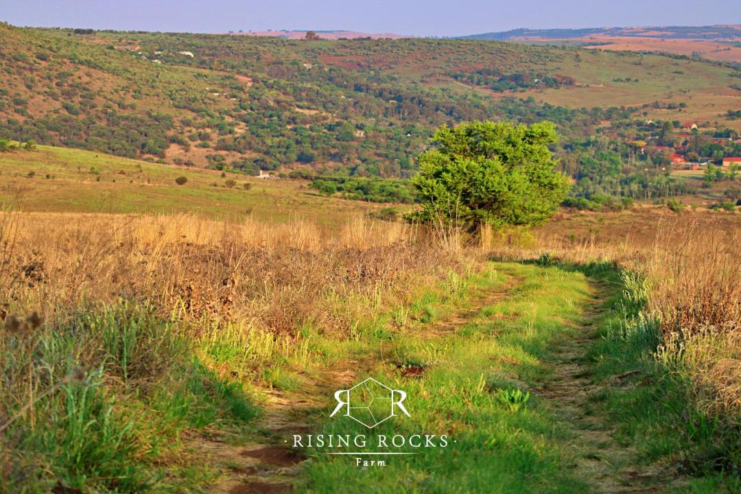 Photo of Others in Magaliesberg