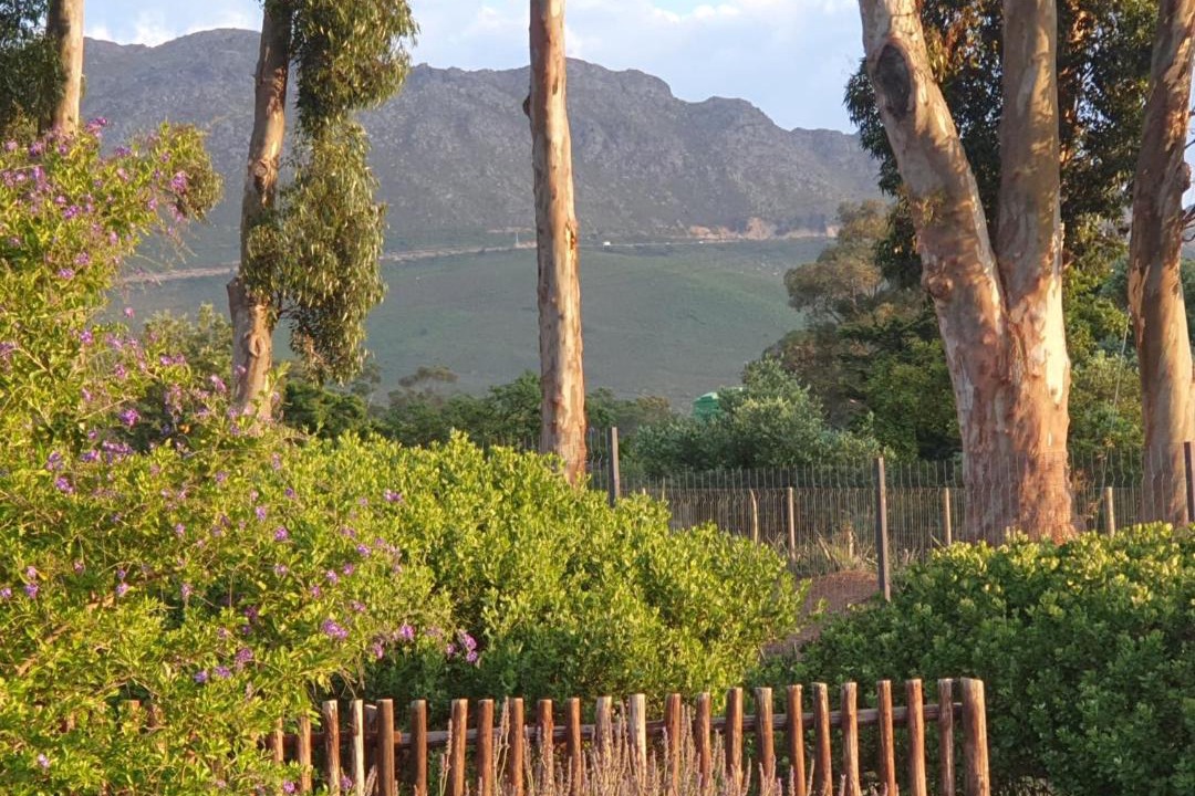 Photo of Others in Helderberg Rural