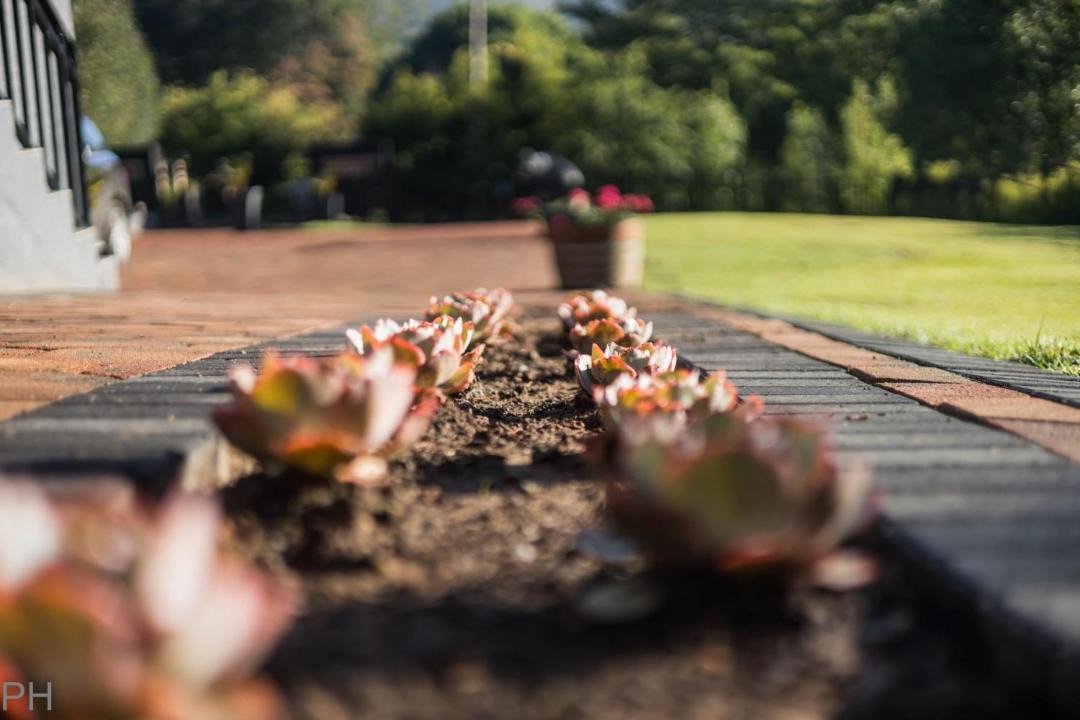 Photo of Outdoor in Clarens