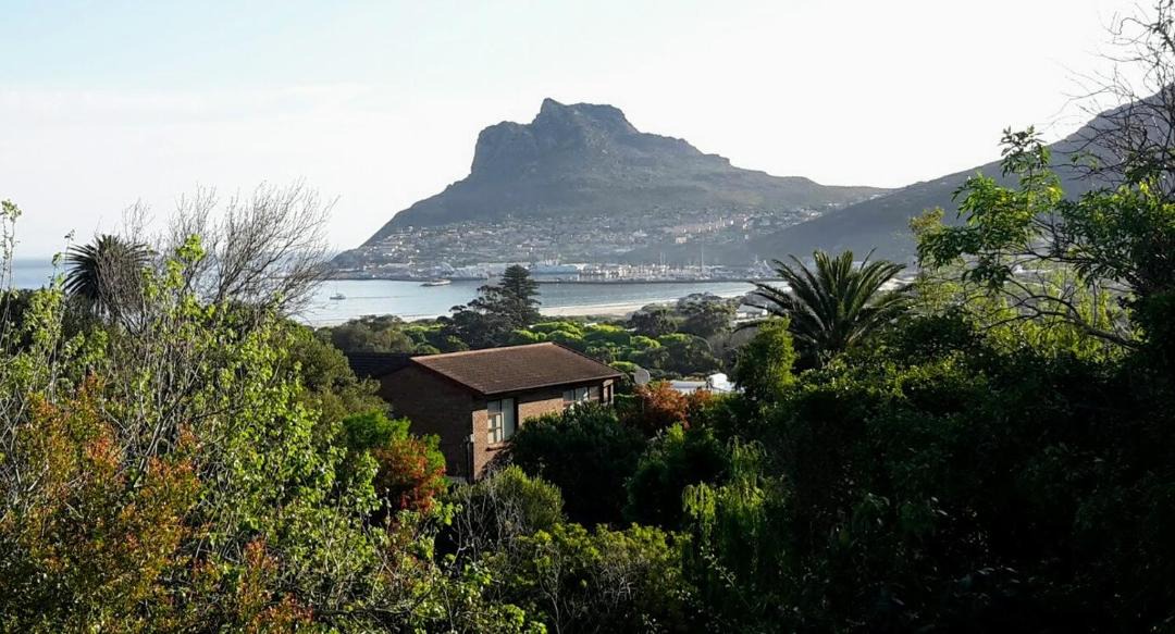 Photo of Outdoor in Scott Estate