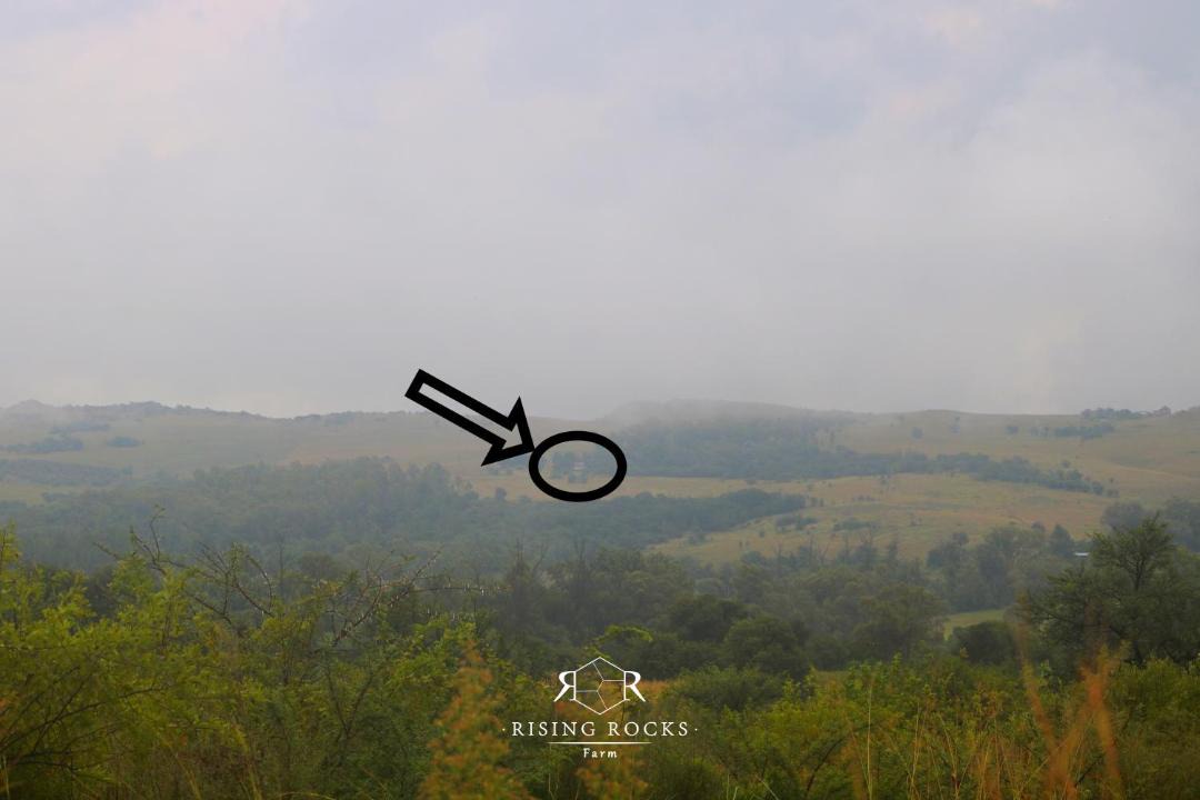 Photo of Others in Magaliesberg
