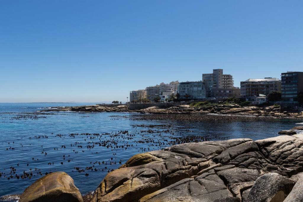 Photo of Others in Bantry Bay