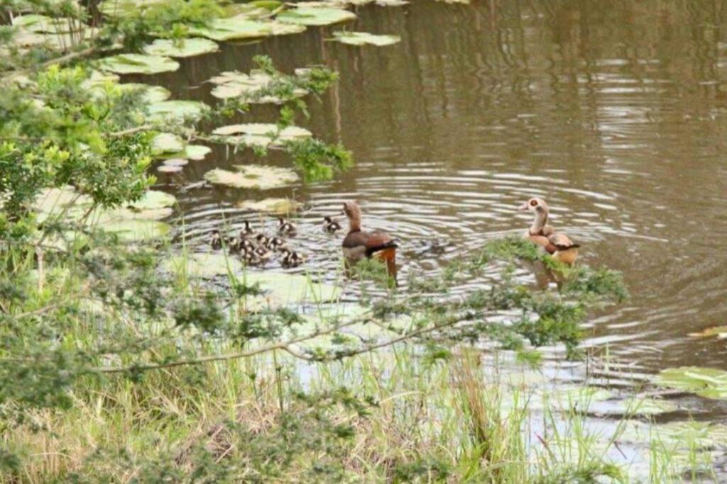 Photo of Others in Umhlali