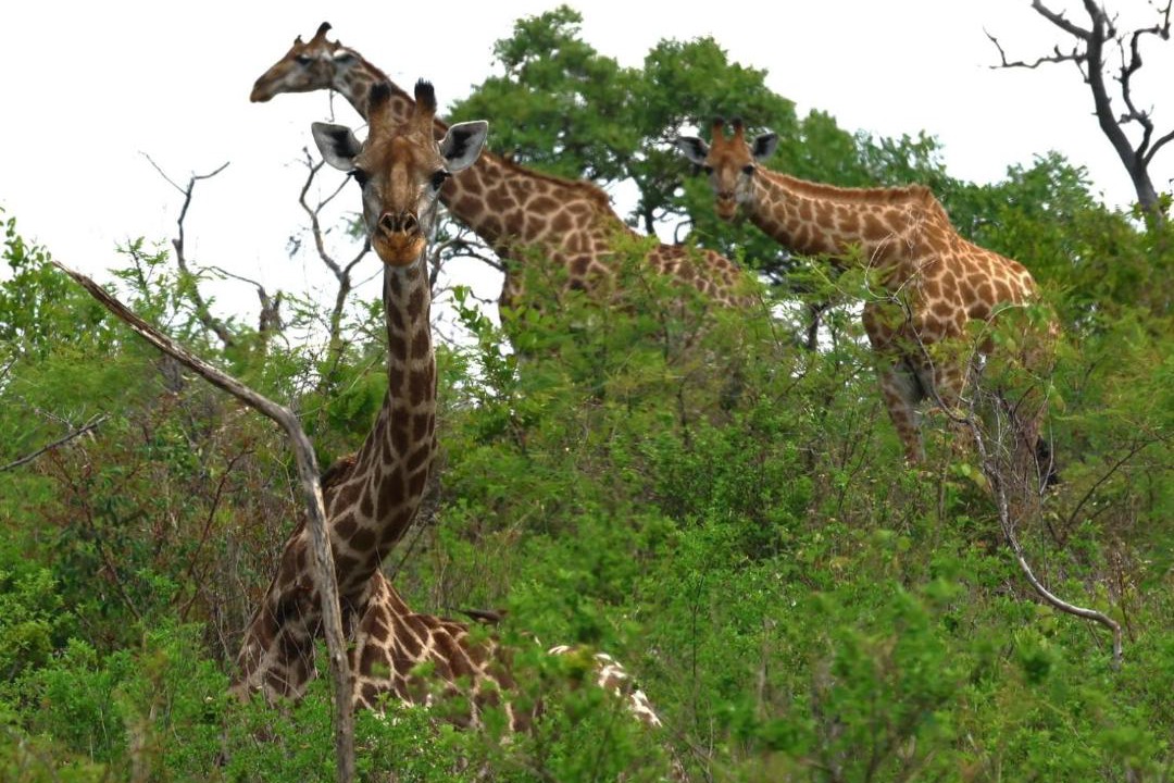 Photo of Others in Emalahleni