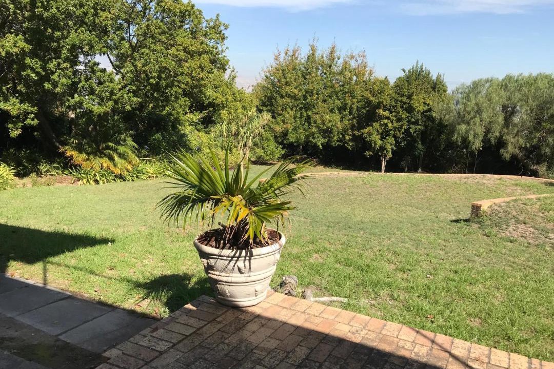 Photo of Others in Somerset West