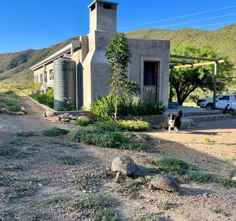 Photo of Others in Calitzdorp