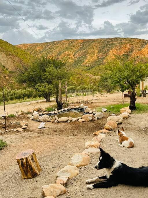 Photo of Others in Calitzdorp