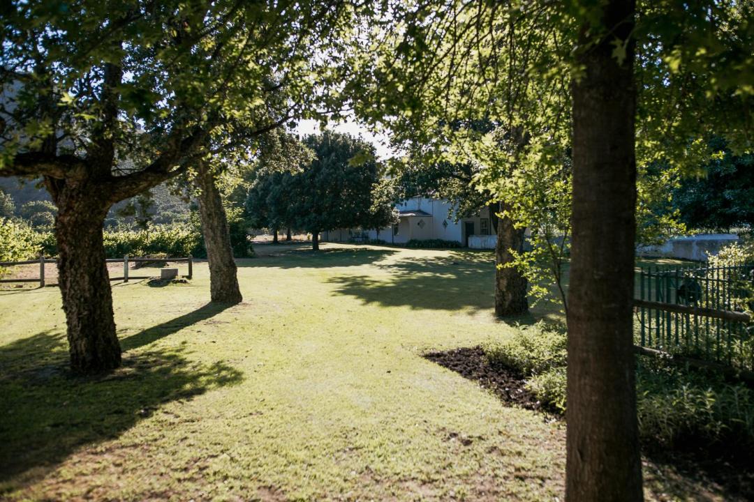 Photo of Others in Cape Winelands