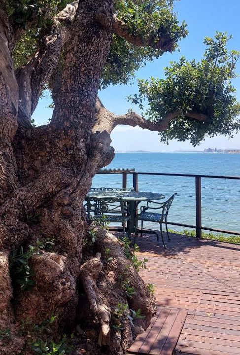 Photo of Others in Gordons Bay Central