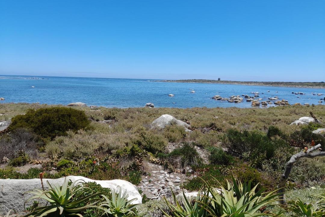 Photo of Others in Jacobs Bay