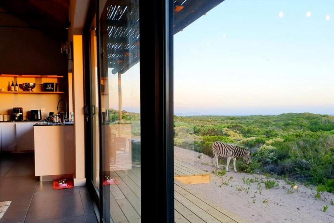 Photo of Others in Gansbaai