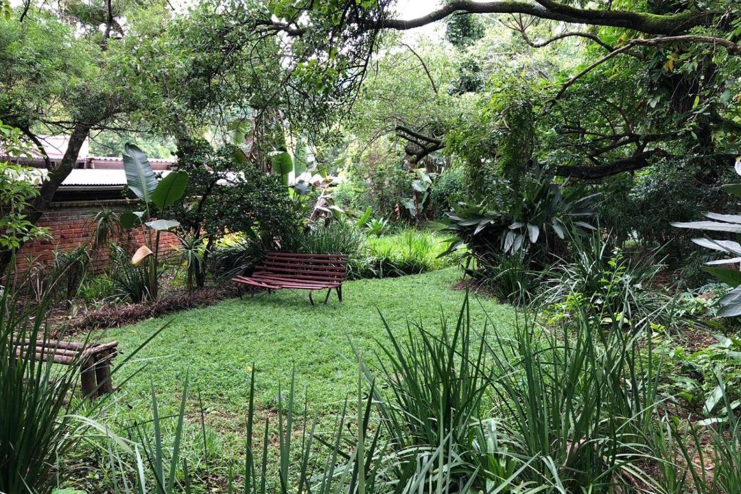 Photo of Others in Nelspruit