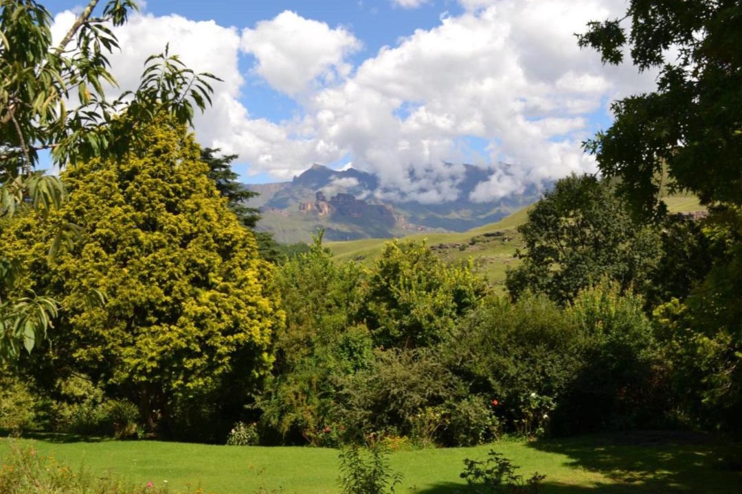 Photo of Others in Drakensberg Gardens