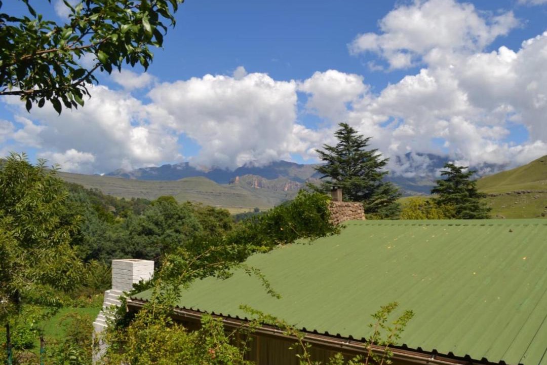 Photo of Others in Drakensberg Gardens