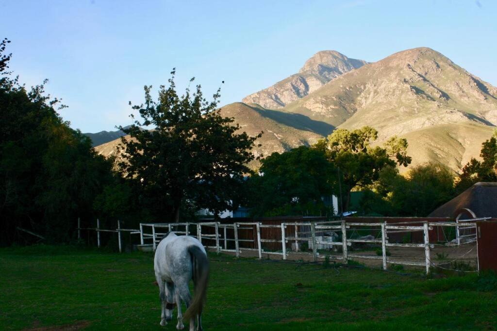 Photo of Others in Greyton