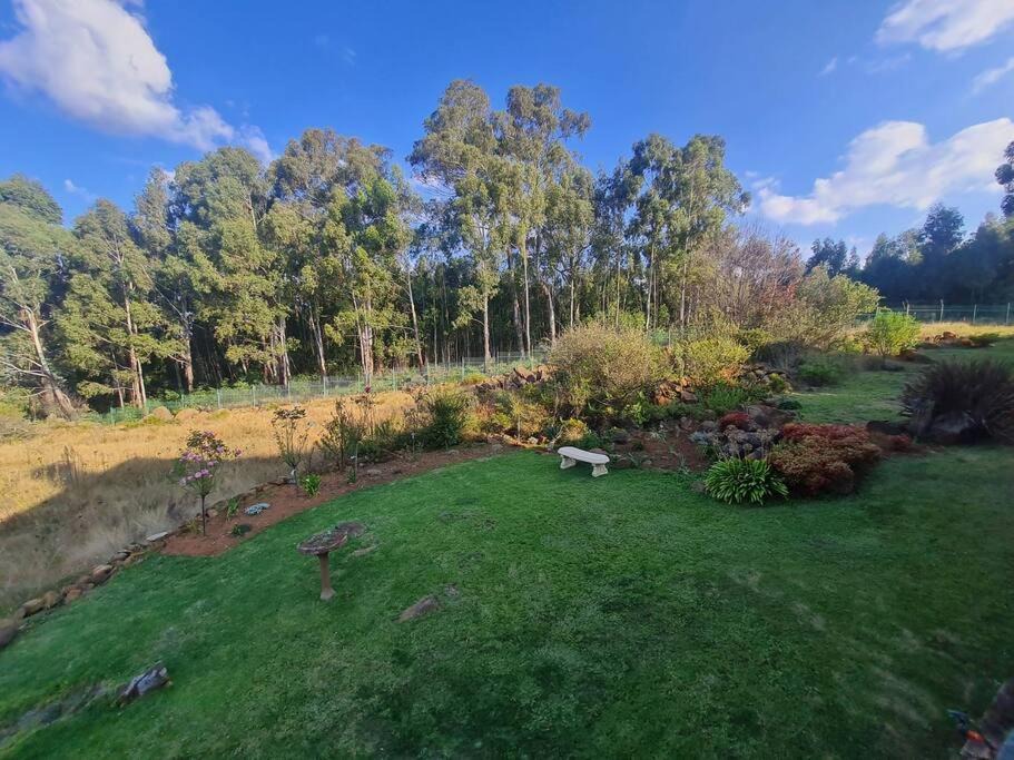 Photo of Others in Dullstroom
