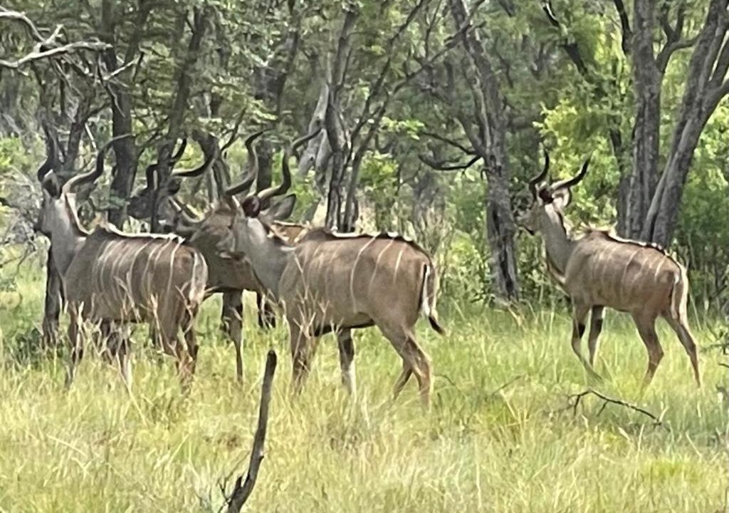 Photo of Others in Hammanskraal