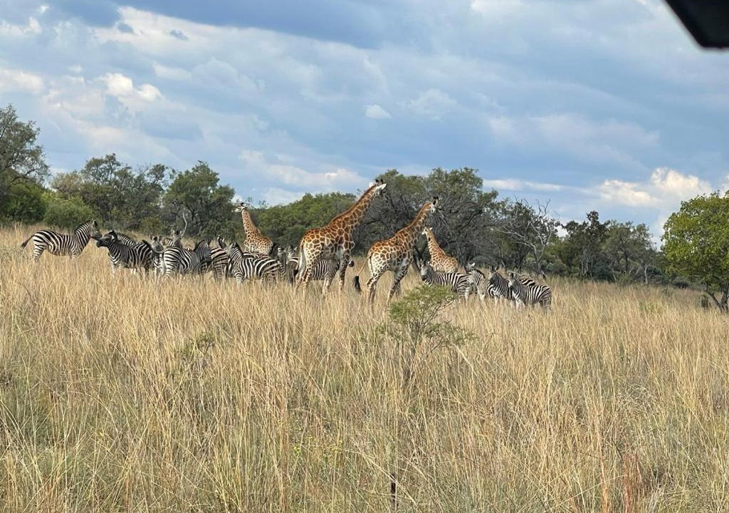 Photo of Others in Hammanskraal