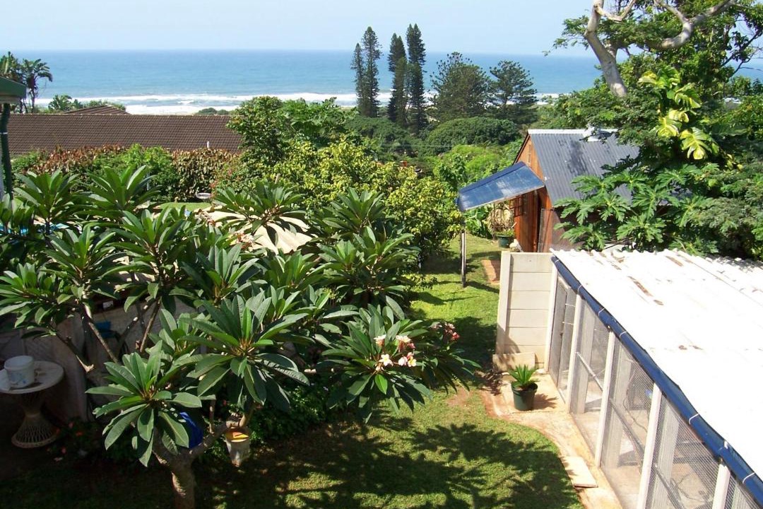 Photo of Others in Illovo Beach