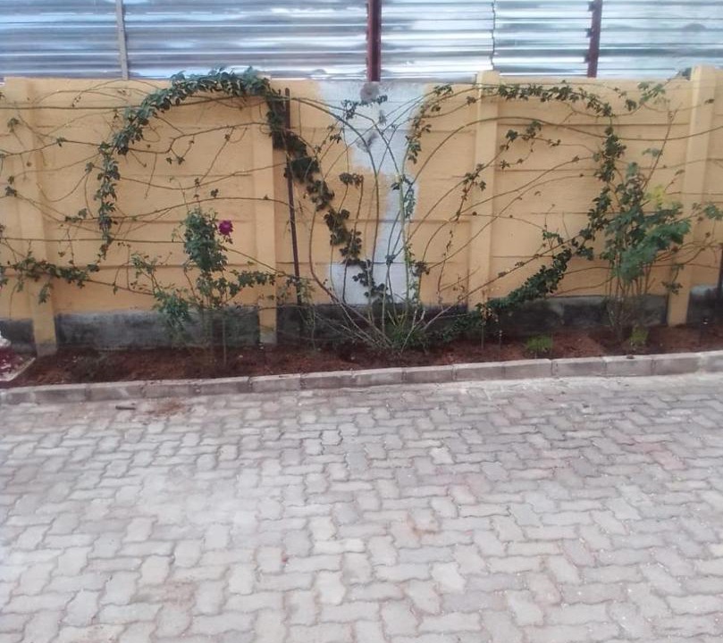 Photo of Others in Polokwane