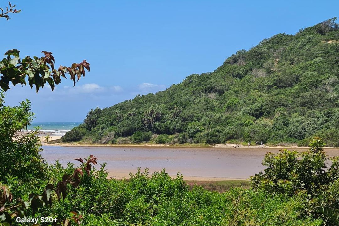 Photo of Others in Amatola Coastal