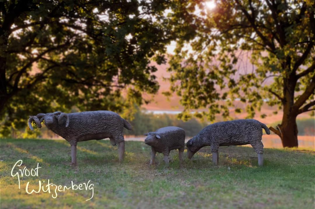 Photo of Others in Tulbagh