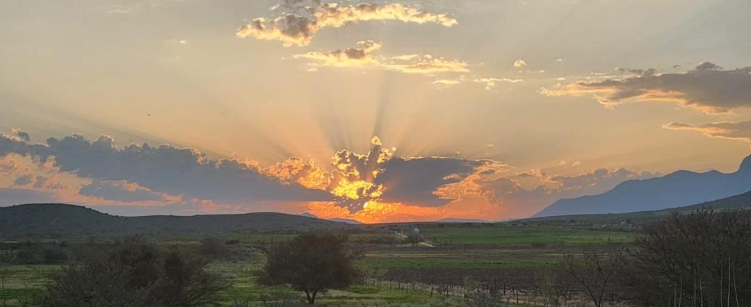 Photo of Others in Langeberg