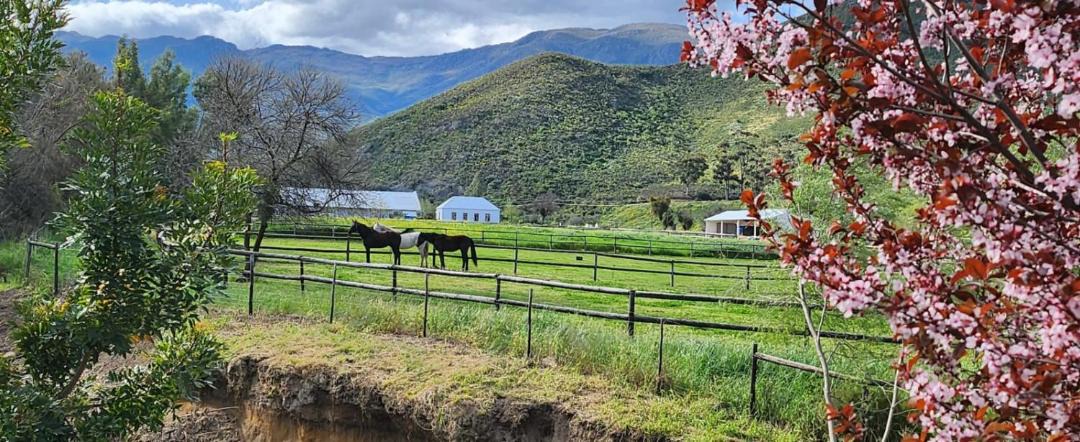 Photo of Others in Langeberg