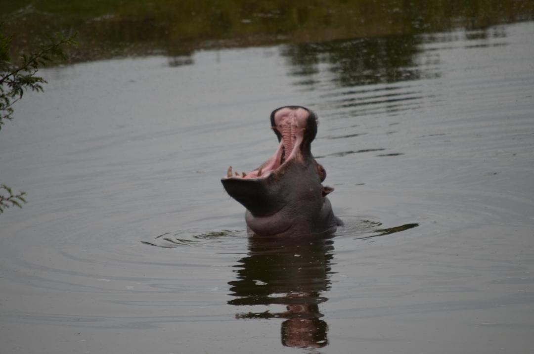 Photo of Others in Addo