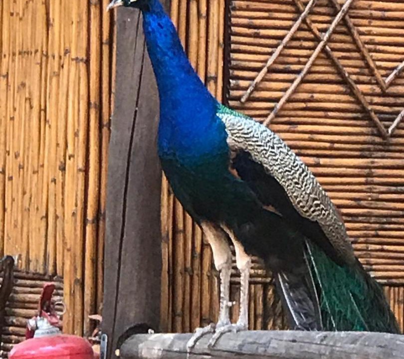 Photo of Others in Hartbeespoort