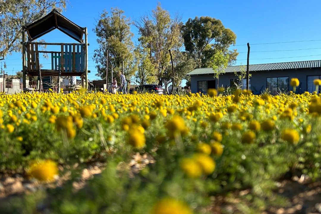 Photo of Others in Colesberg