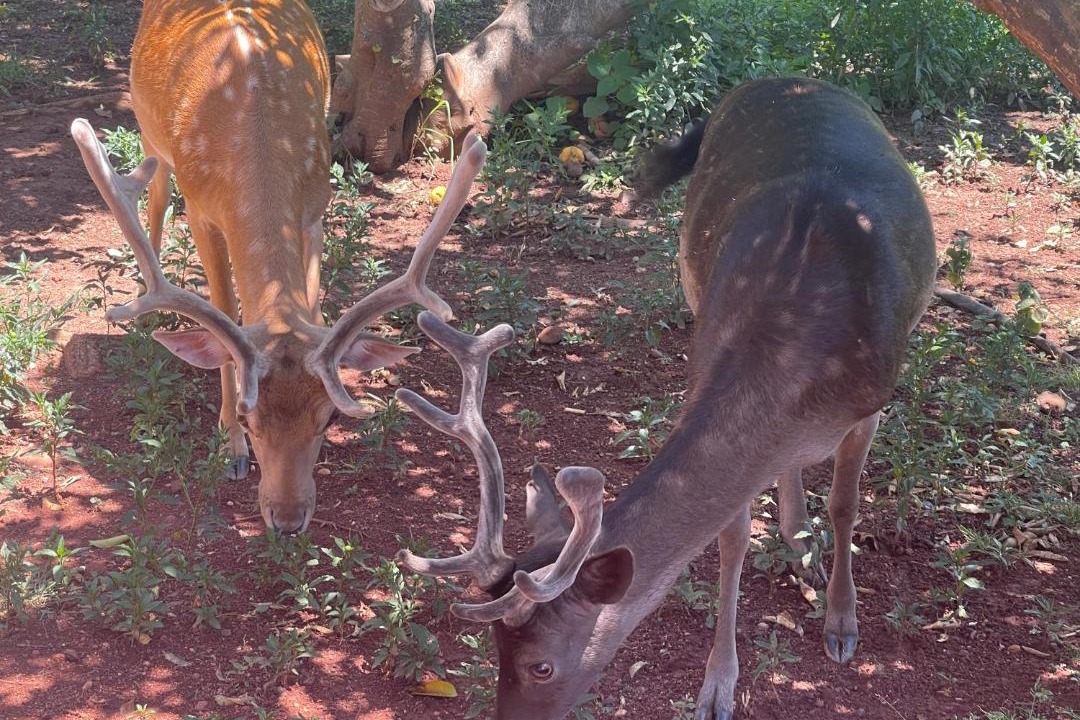 Photo of Others in Pretoria
