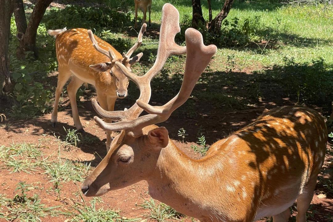 Photo of Others in Pretoria