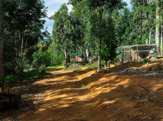 Photo of Others in Hogsback