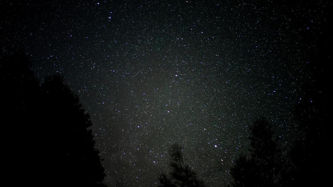 Photo of Others in Hogsback