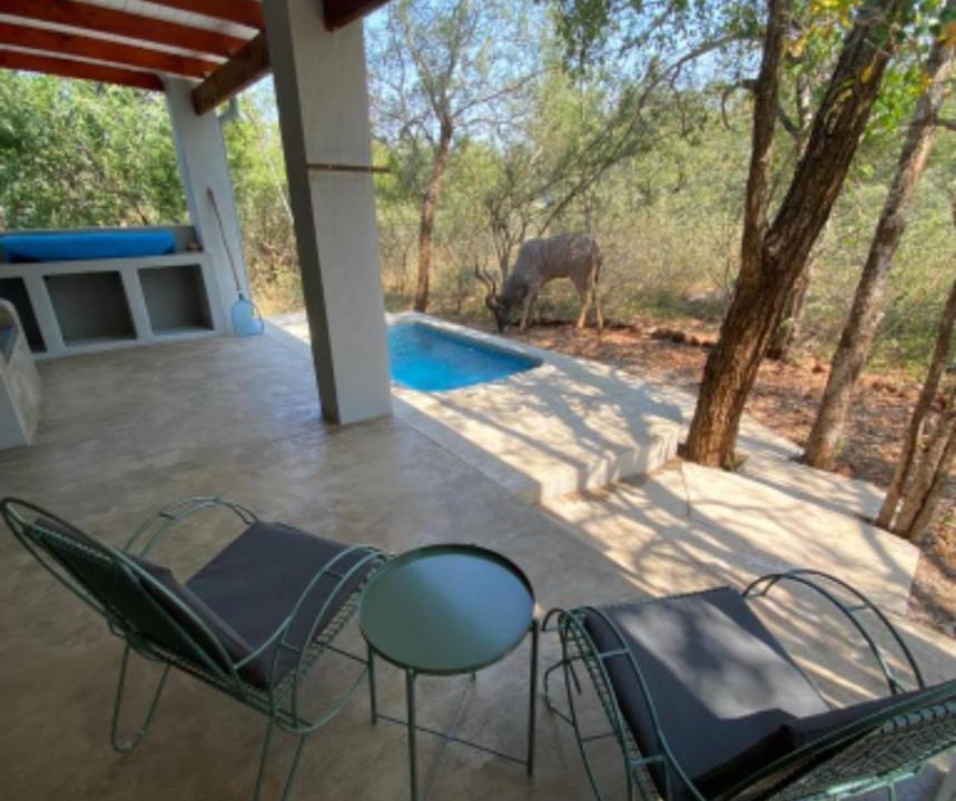 Photo of Patio Balcony in Marloth Park