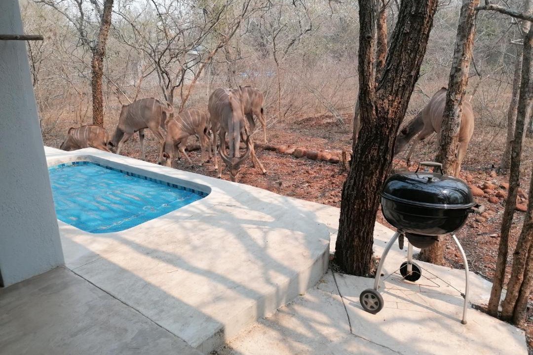 Photo of Outdoor in Marloth Park