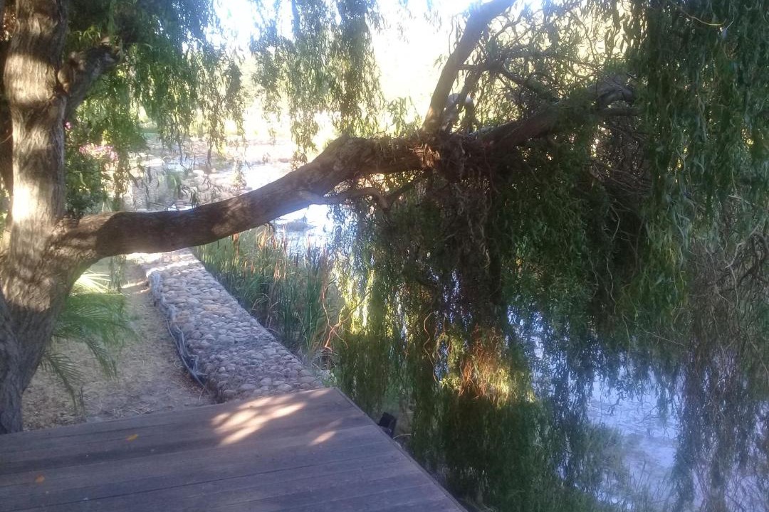 Photo of Others in Cape Winelands