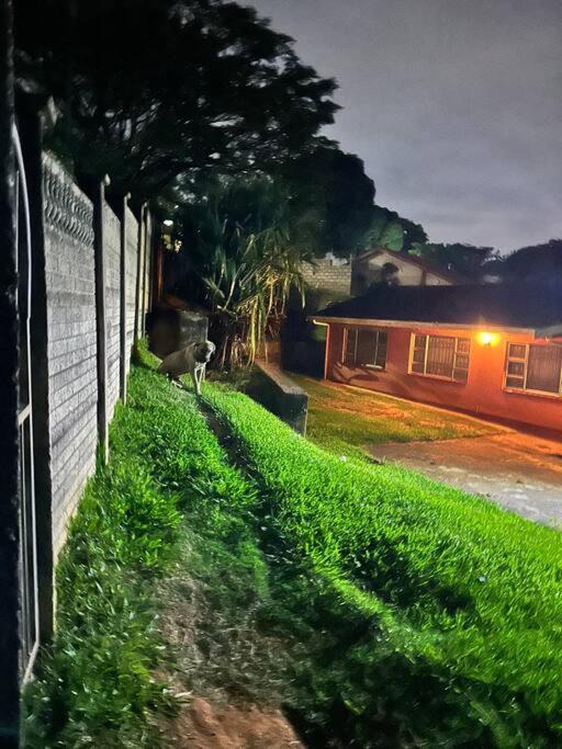 Photo of Buildings in Amanzimtoti