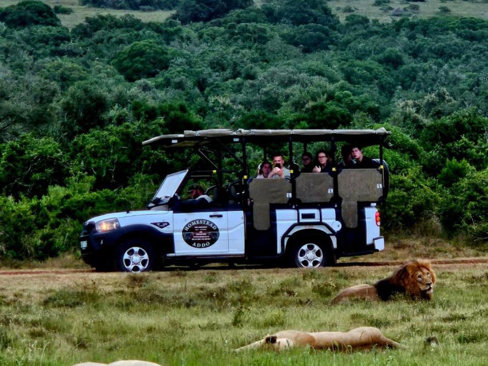Photo of Others in Addo