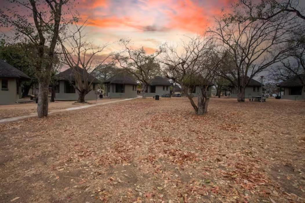 Photo of Others in Kruger National Park