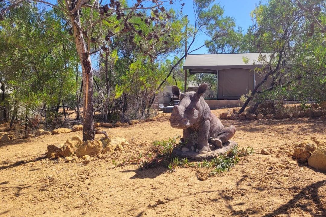 Photo of Others in Yzerfontein