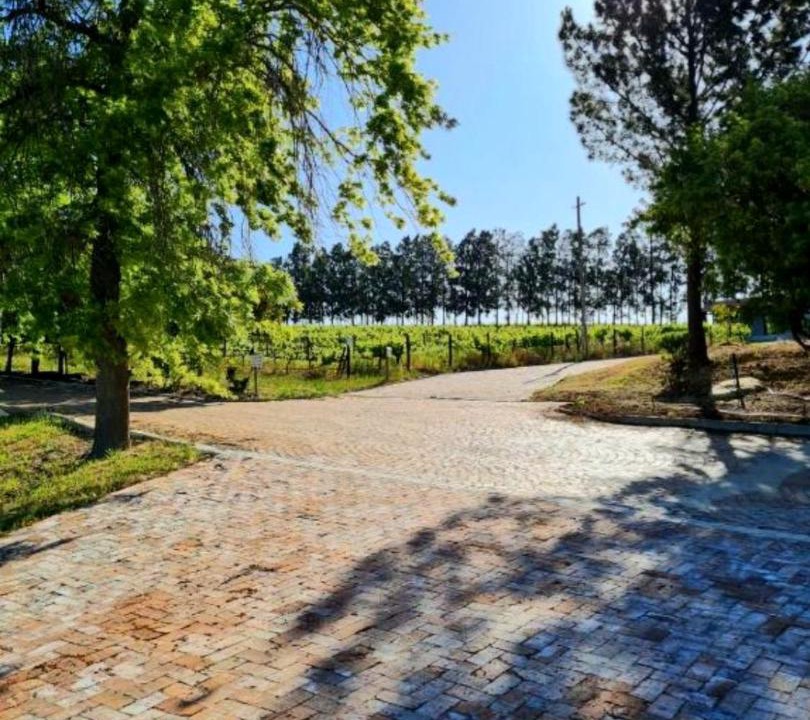 Photo of Outdoor in Cape Winelands