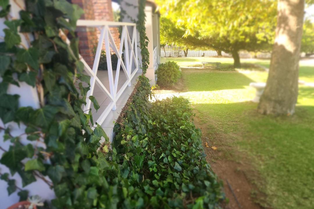 Photo of Others in Cape Winelands
