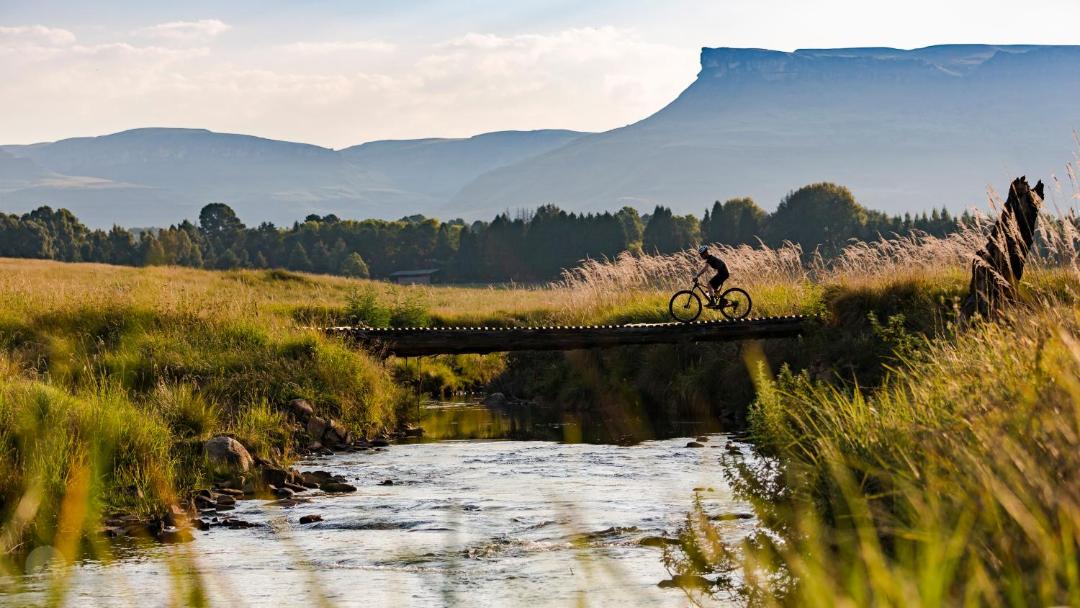 Photo of Others in Elandskop