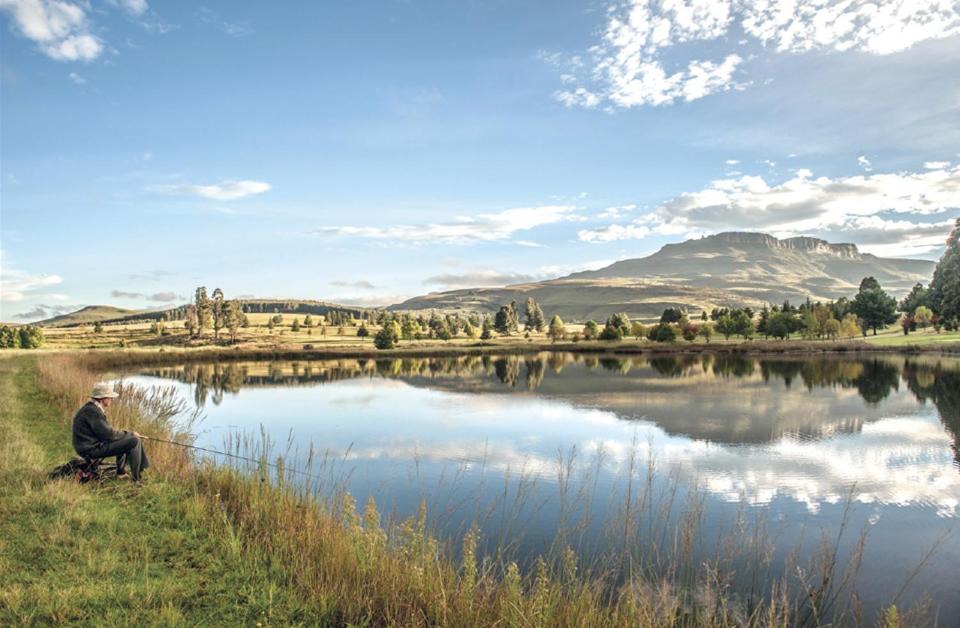 Photo of Others in Elandskop