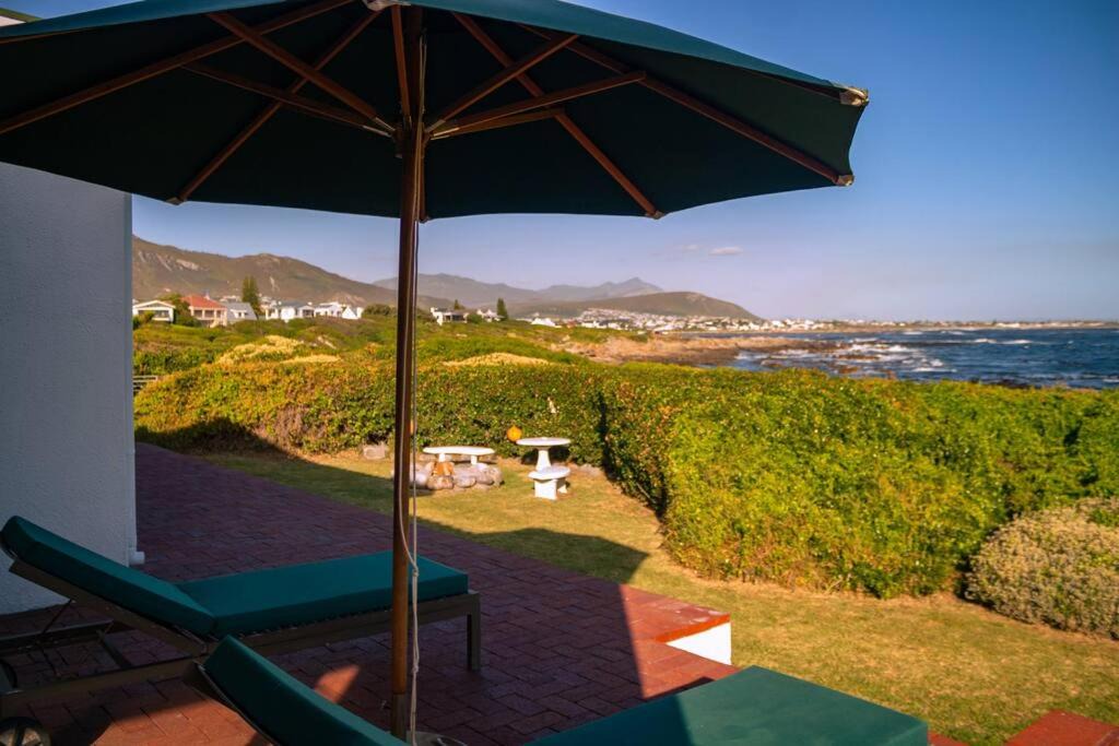Photo of Others in Hermanus